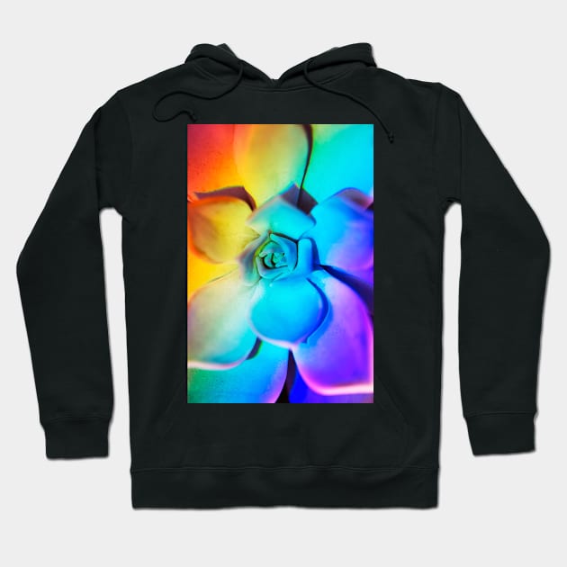 Rainbow echeveria Hoodie by karinelizabeth